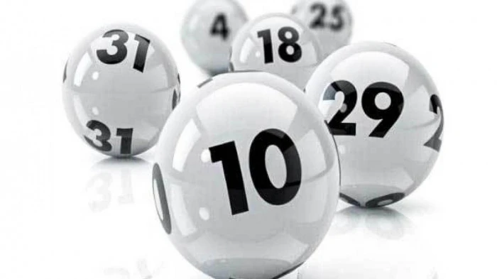 Khám Phá Thế Giới 7ball Casino Vietnam: Trò Chơi Cá Tôm Cua và Roulette Trực Tuyến